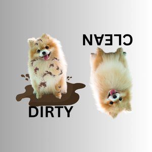 POMERANIAN Clean Dirty Dishwasher Flexible Magnet